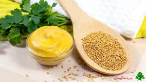 تهیه سس خردل